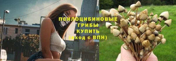 МДПВ Абинск