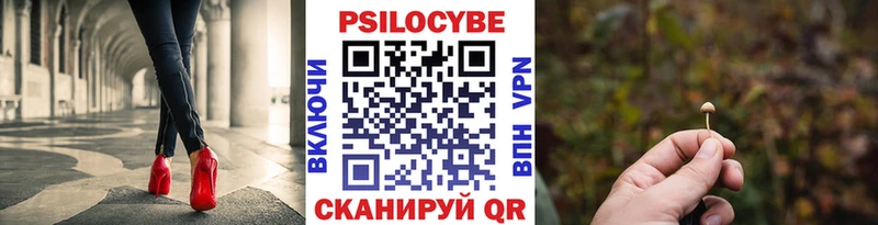 Псилоцибиновые грибы мицелий  Ленинградская 