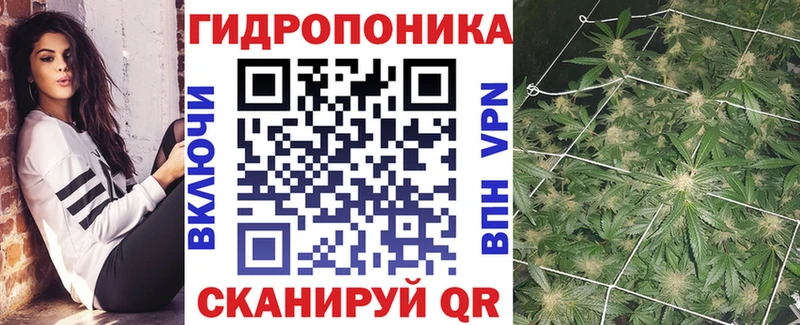 Каннабис марихуана  Ленинградская 